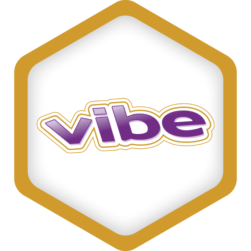 Vibe Account Icon
